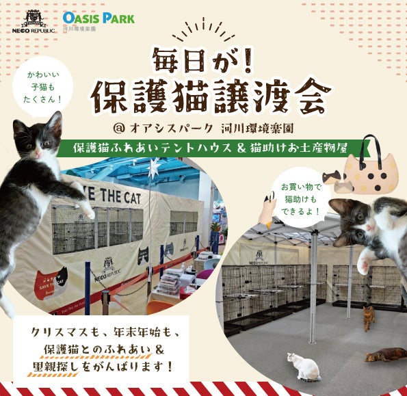 ネコリパブリック 毎日が 保護猫譲渡会 かわいい保護猫たちがずっとの家族を待っている パーキングエリアも直結しているオアシスパークにて 期間中毎日開催 収益が猫 助けになるお土産物屋も Hottelhottel