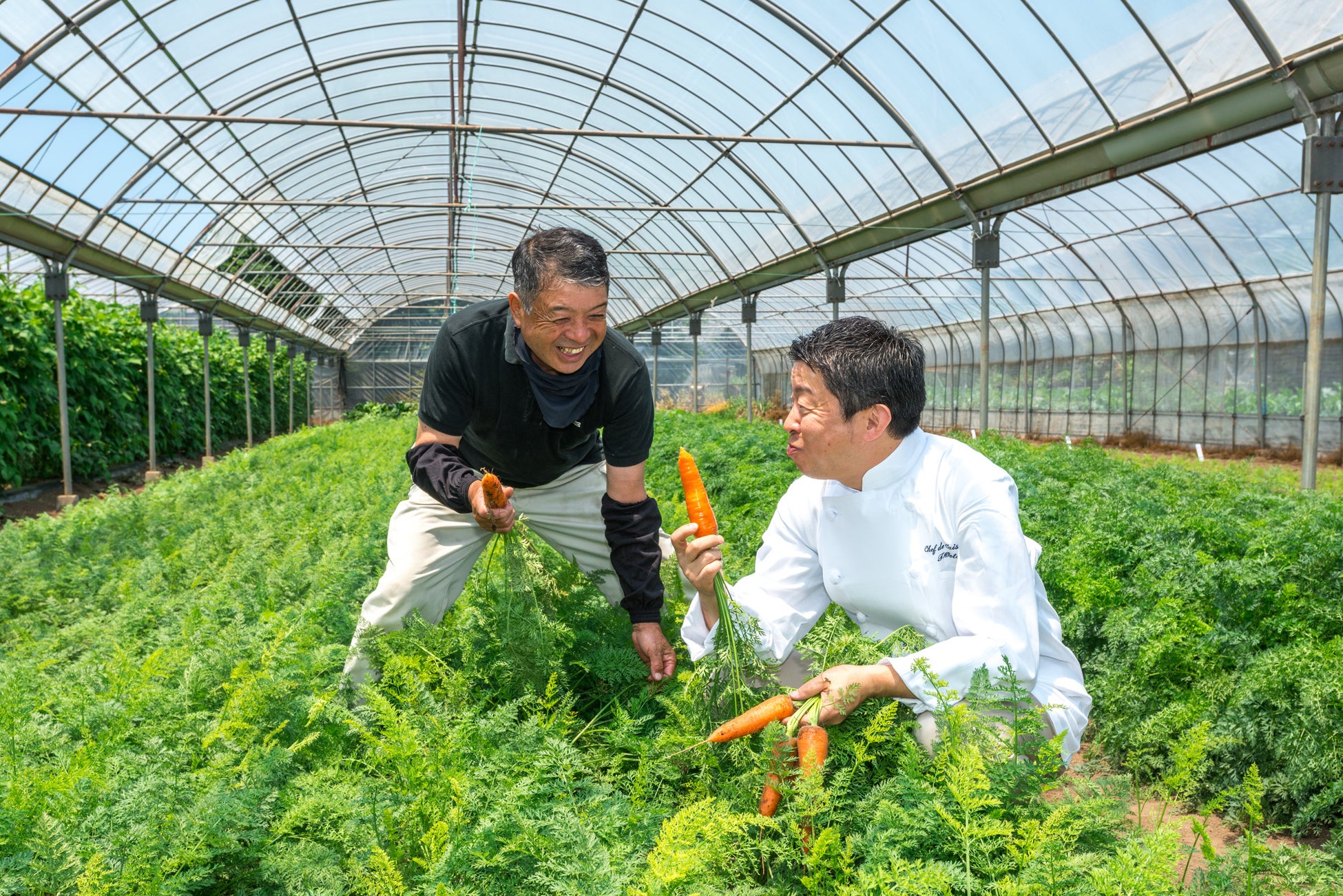 契約農家「海老原ファーム」を訪れる統括料理長 太田高広