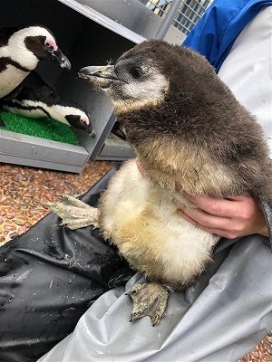 2月21日生まれの赤ちゃん