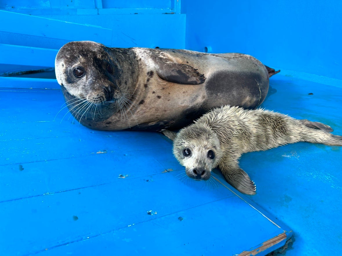 お母さんとの2ショット