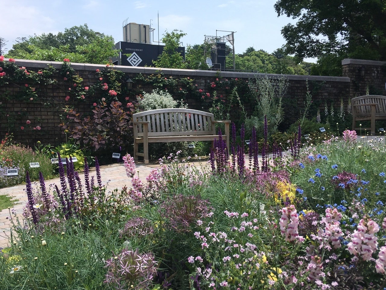 横浜市アメリカ山公園