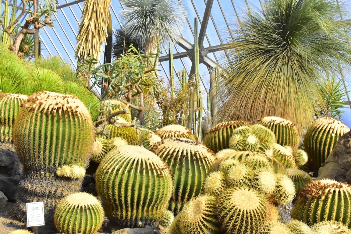 伊豆シャボテン動物公園