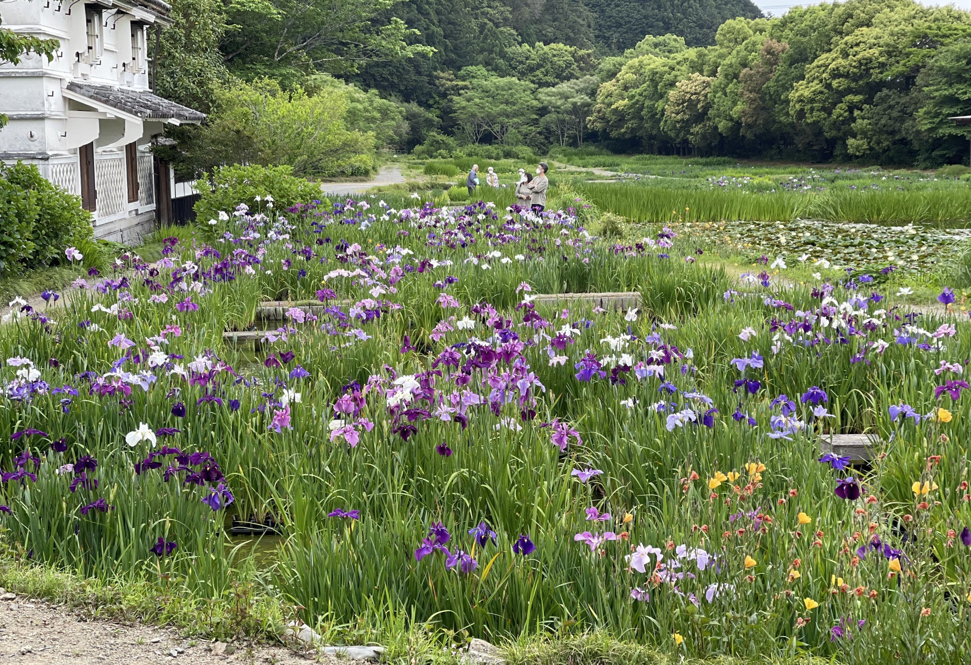 2022年5月9日撮影