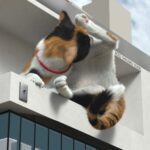 新宿東口の猫『毛づくろい編』