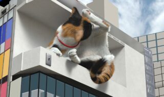 新宿東口の猫『毛づくろい編』
