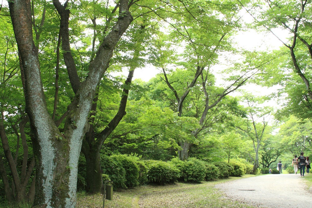 愛知県森林公園