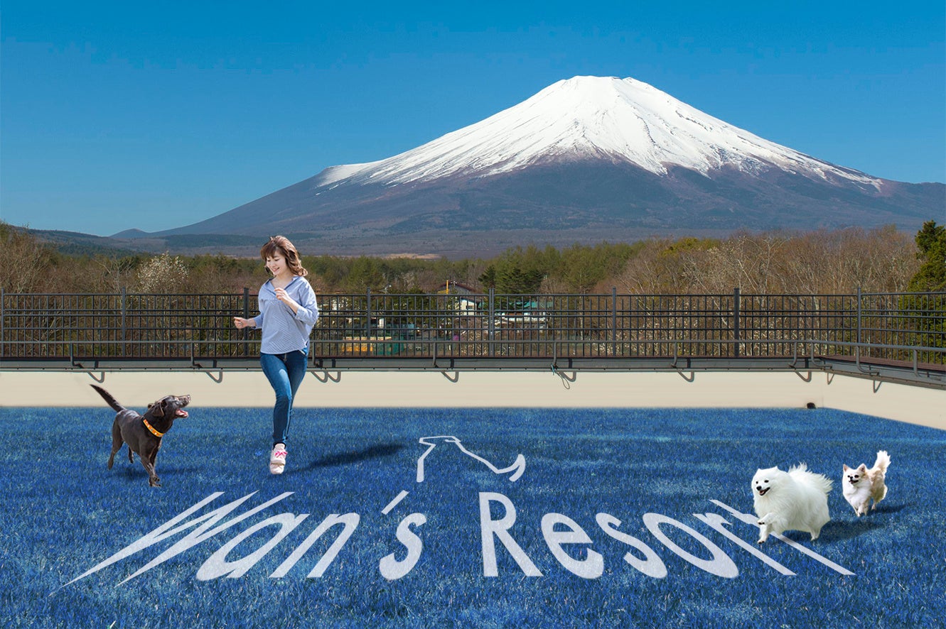 富士山の絶景とブルーの人工芝のdog park～天空～