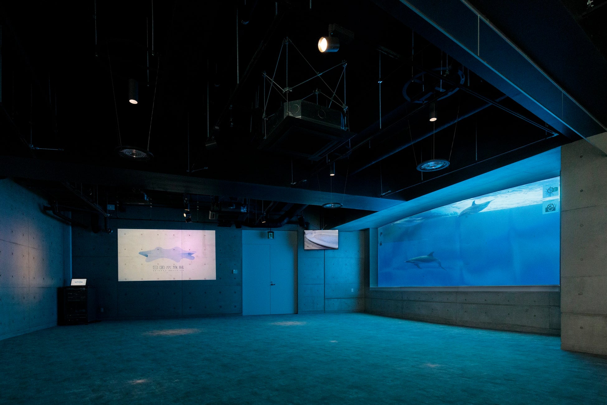 海豚ホール