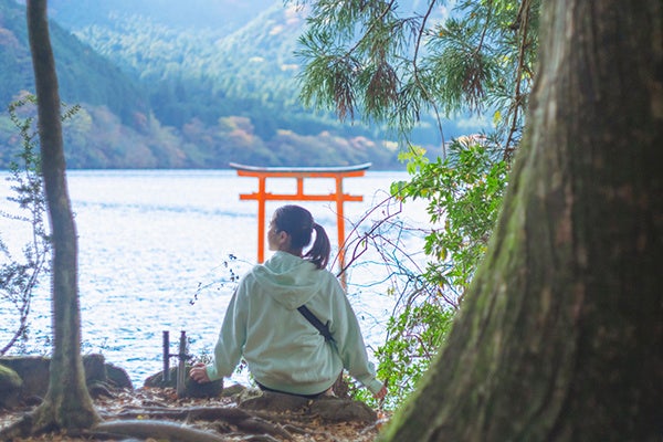 芦ノ湖畔や箱根の森を散策