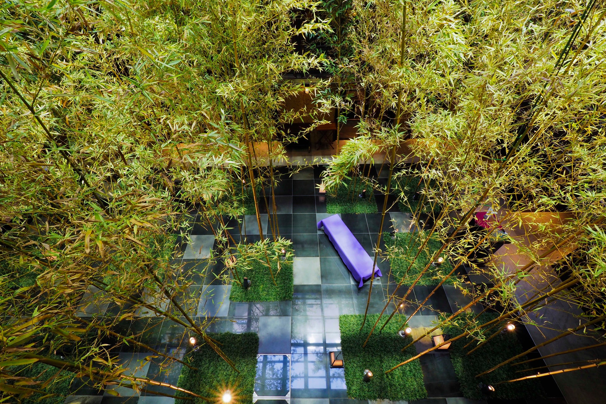 ダーワ・悠洛　京都地下1階　竹林ガーデン