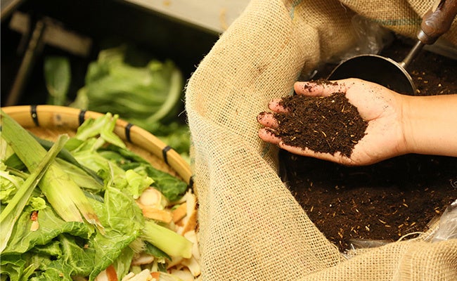 「食の完全リサイクル」を達成するリビエラ循環野菜