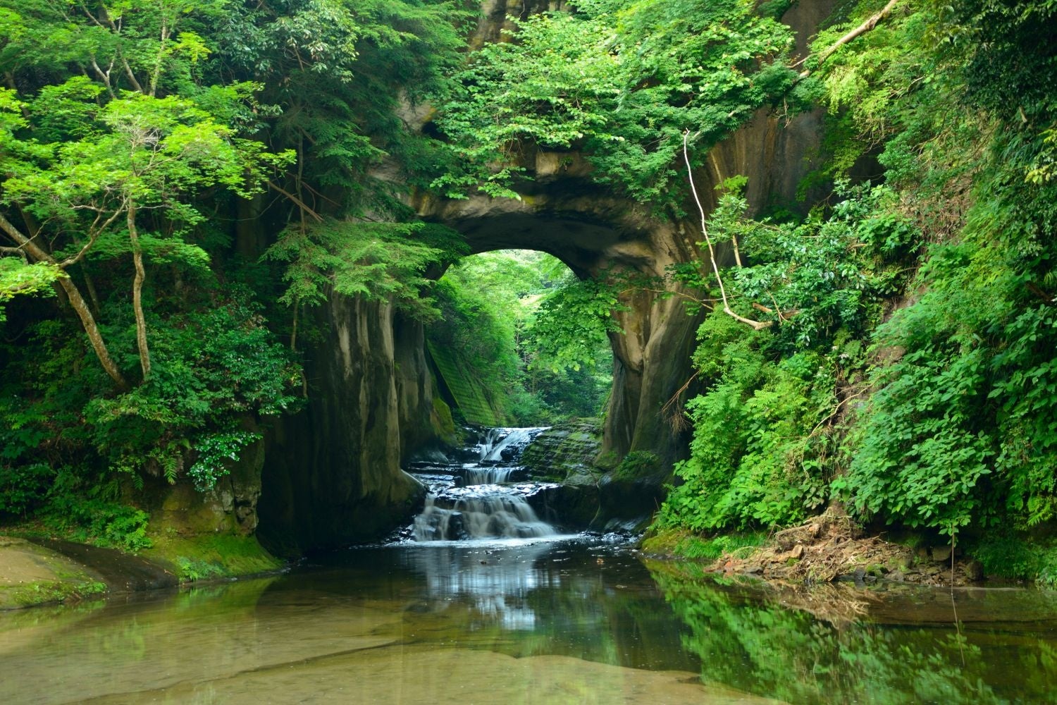 写真：清水渓流広場／提供：千葉県君津市