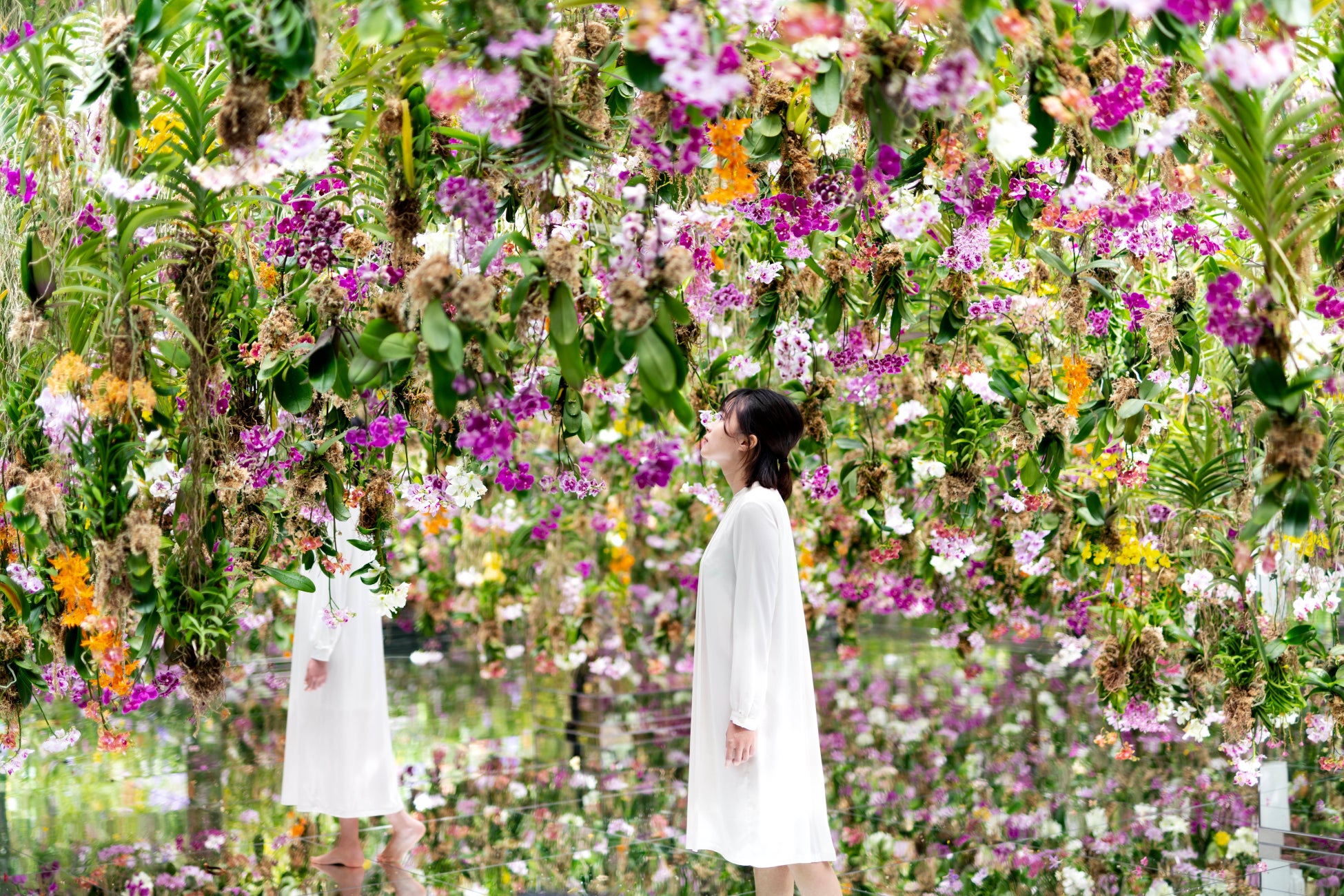 チームラボ《Floating Flower Garden：花と我と同根、庭と我と一体》©️ チームラボ