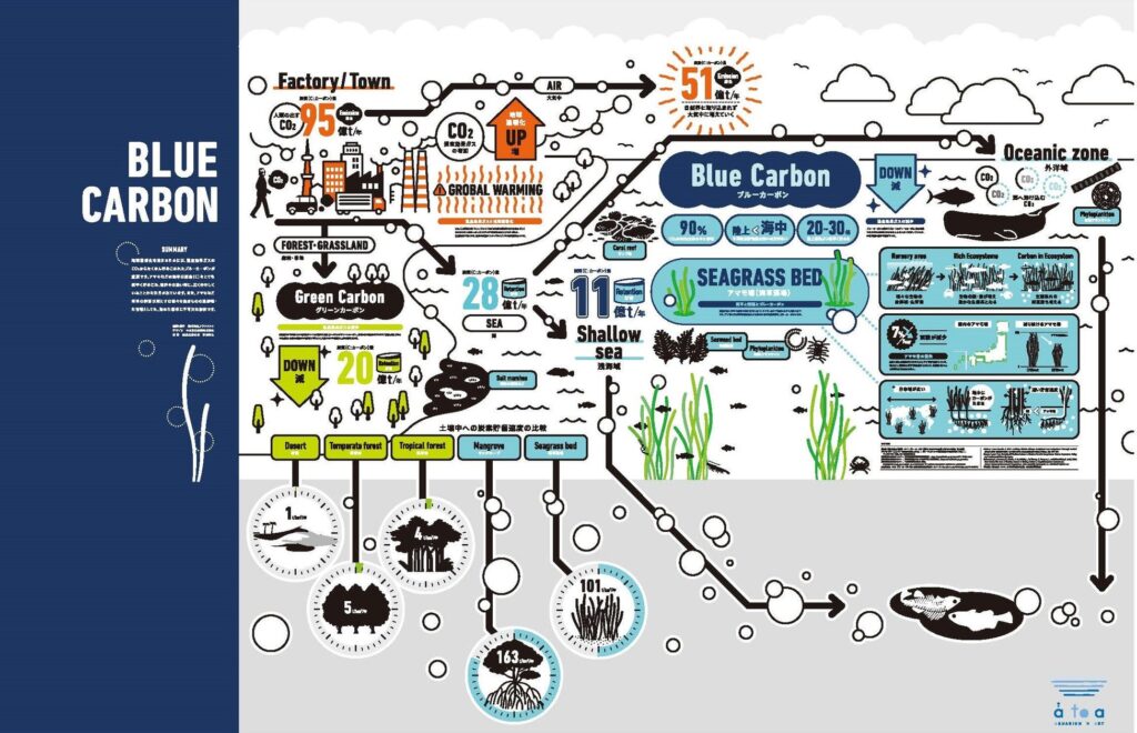 「BLUE CARBON」について理解を深めるデザインアート