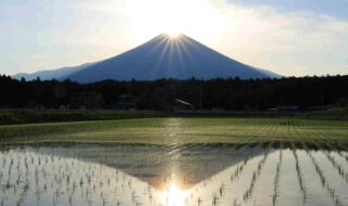 水田に映るダブルダイヤモンド富士　撮影日：２０２２年５月２９日ＡM５：４５　 撮影場所：富士宮市内野地区　内野神社から徒歩約５分