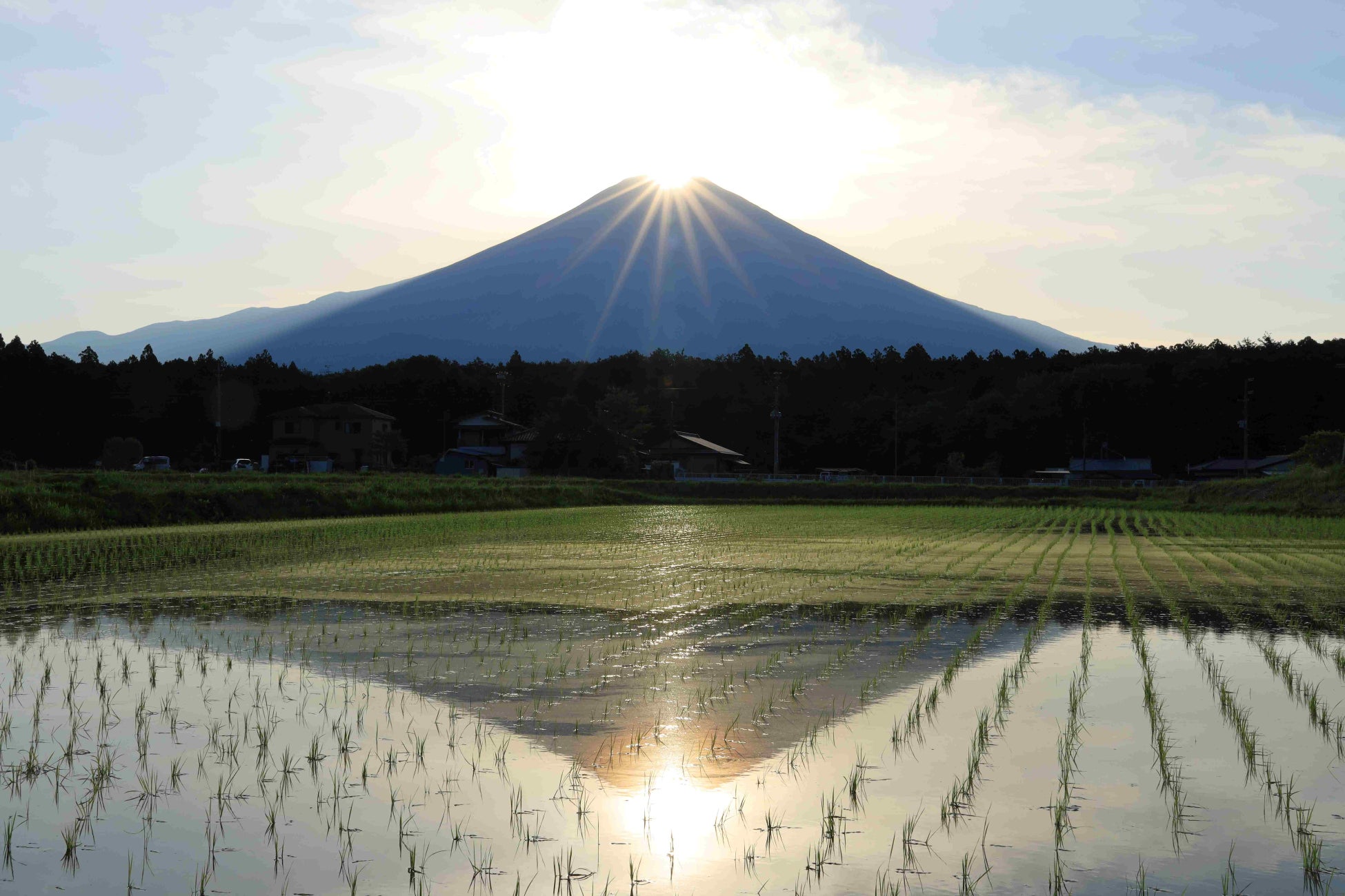 水田に映るダブルダイヤモンド富士　撮影日：２０２２年５月２９日ＡM５：４５　 撮影場所：富士宮市内野地区　内野神社から徒歩約５分