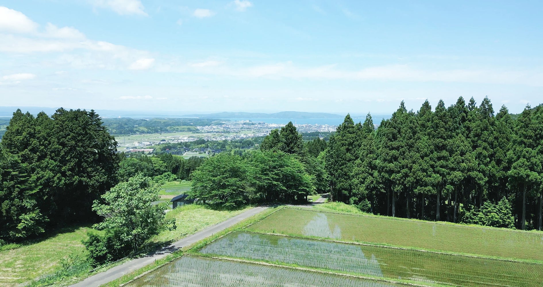 全国のお米コンテストで最高賞の受賞歴を誇る石井農園さんの八田の棚田。七尾湾越しに能登島が見えます。