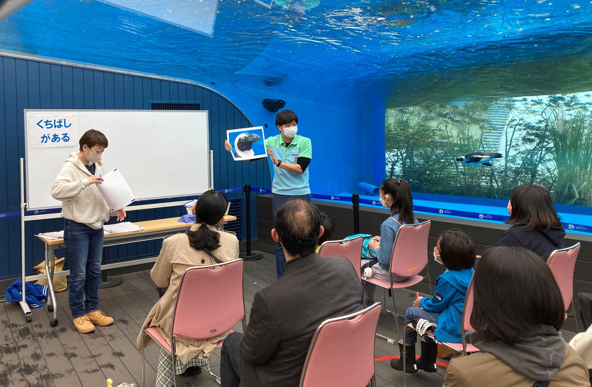 ペンギンについて学ぶイベントの様子