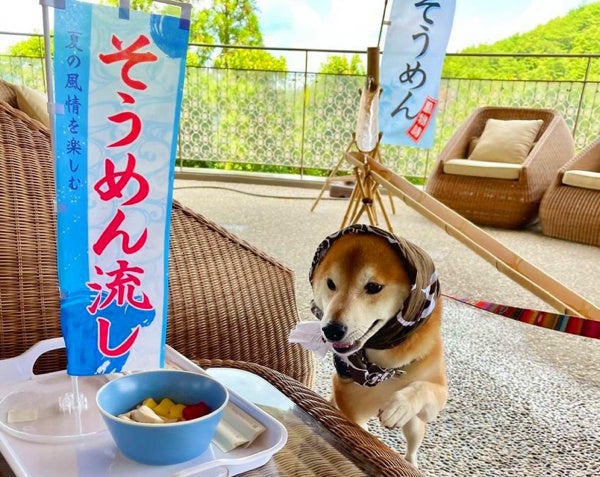 オリジナル手ぬぐいを頭に巻いて流しそうめんを楽しむ虎太郎