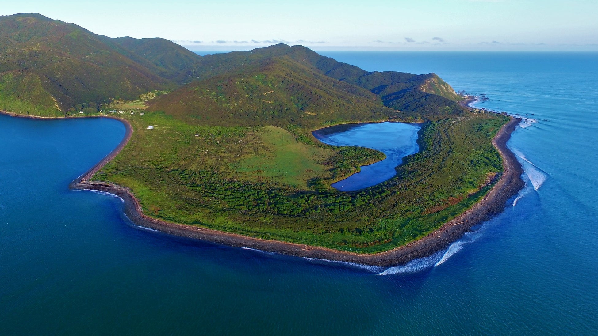 カピティ島　©Kapiti Island Nature Tours