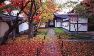 黄梅院 唐門と紅葉