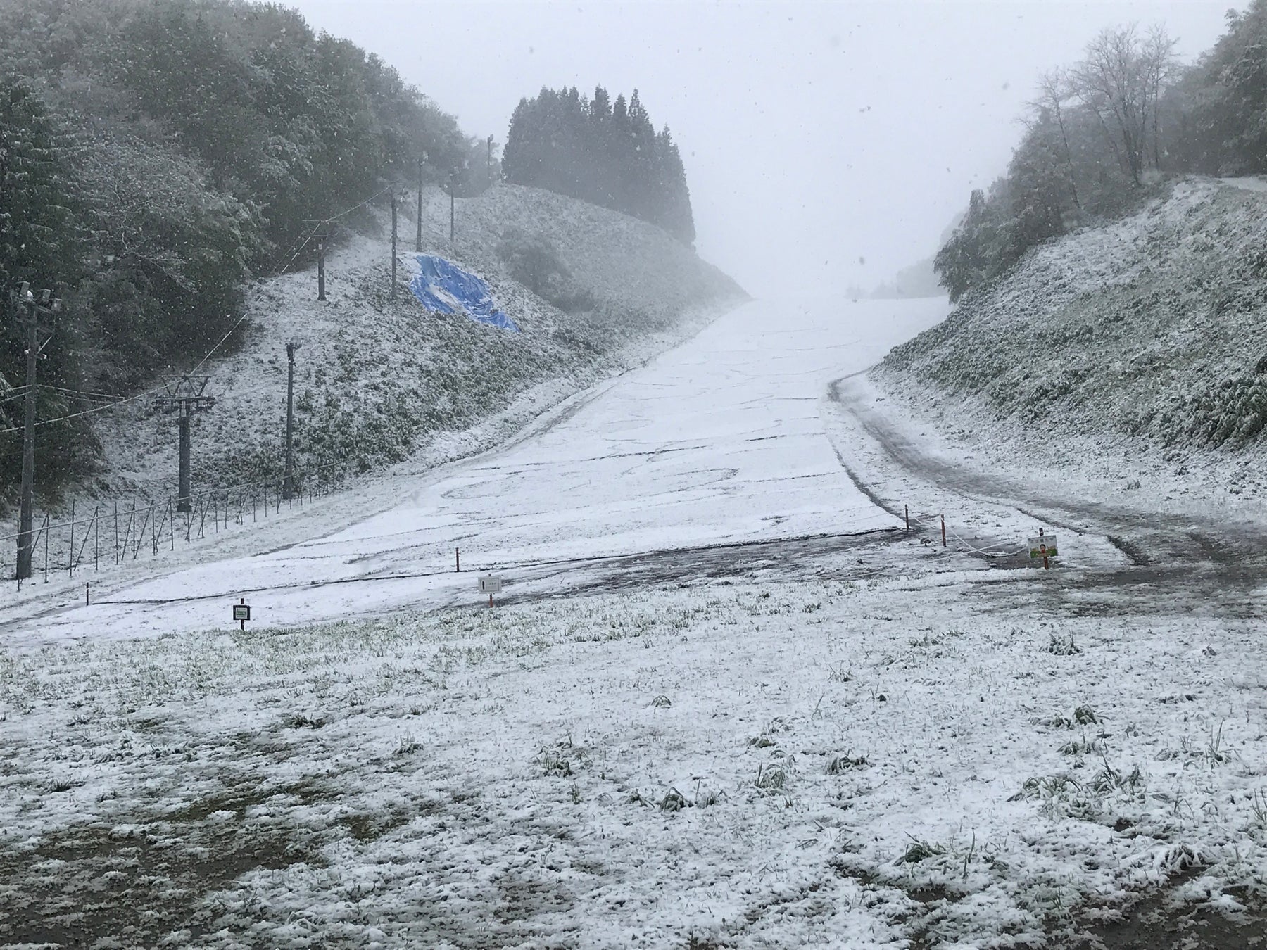 5月8日（月）の様子