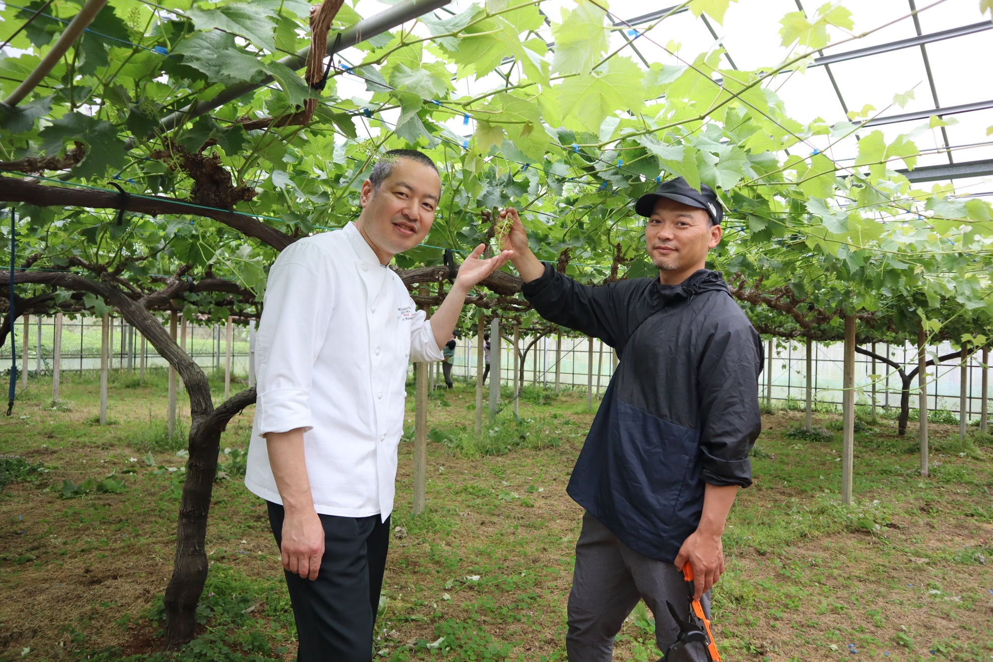 大塚ぶどう園の大塚さん(ぶどう栽培)と製菓料理長：パティシエ