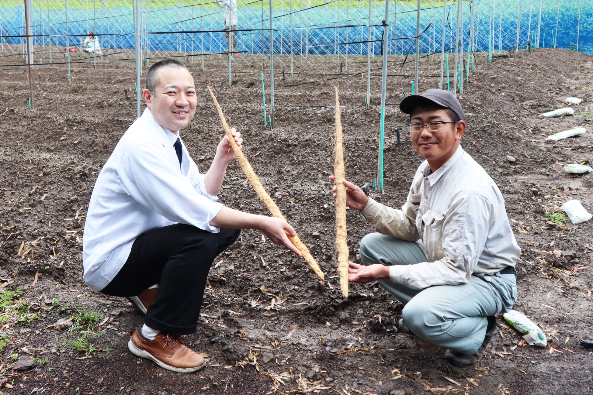 山翠園の藤田さん(自然薯栽培)と和食料理長