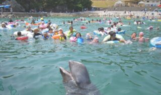 くじらの浜海水浴場