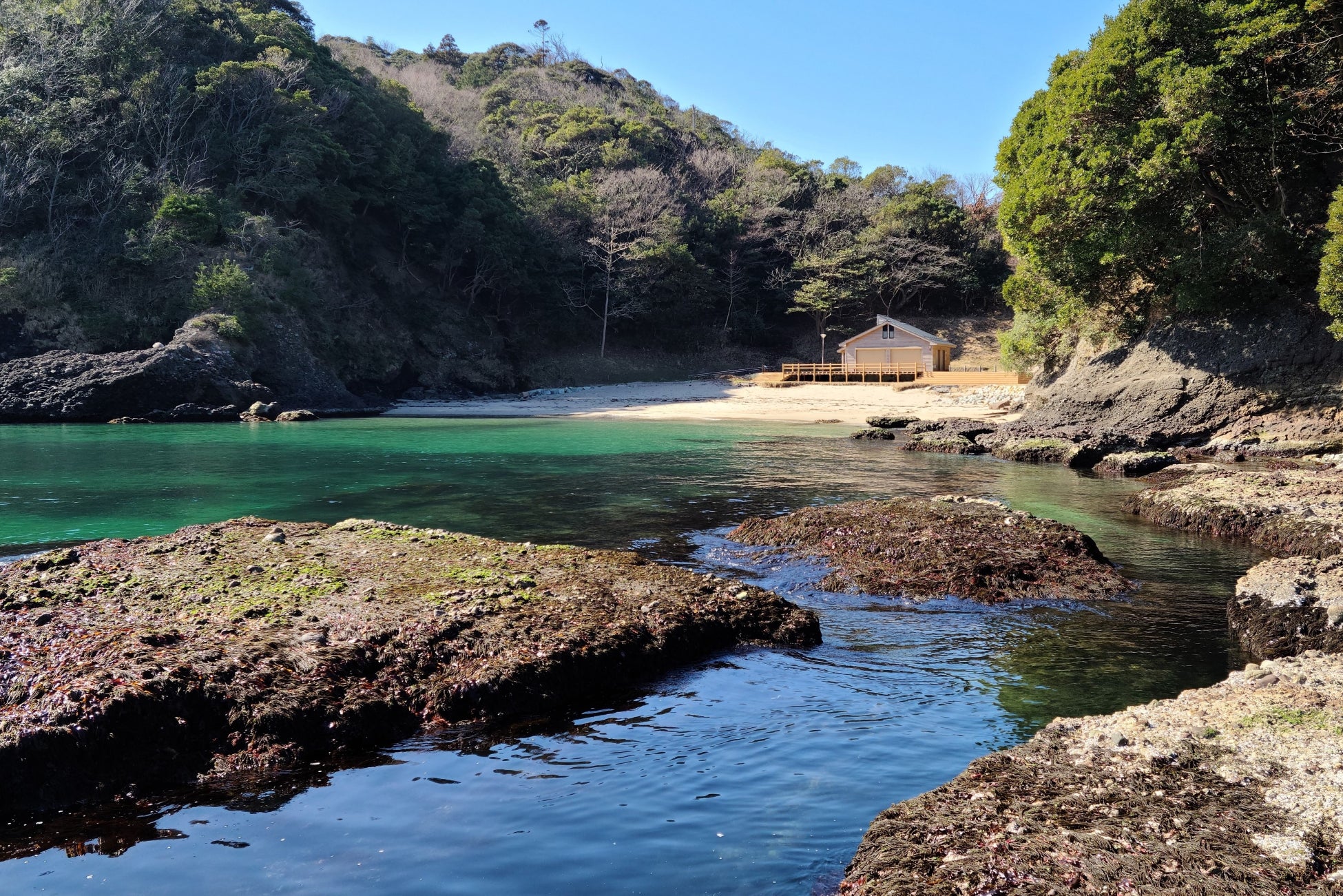 庵蛇浜