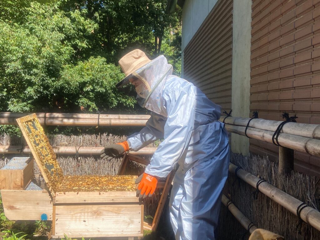 昨年の蜂蜜採取の様子
