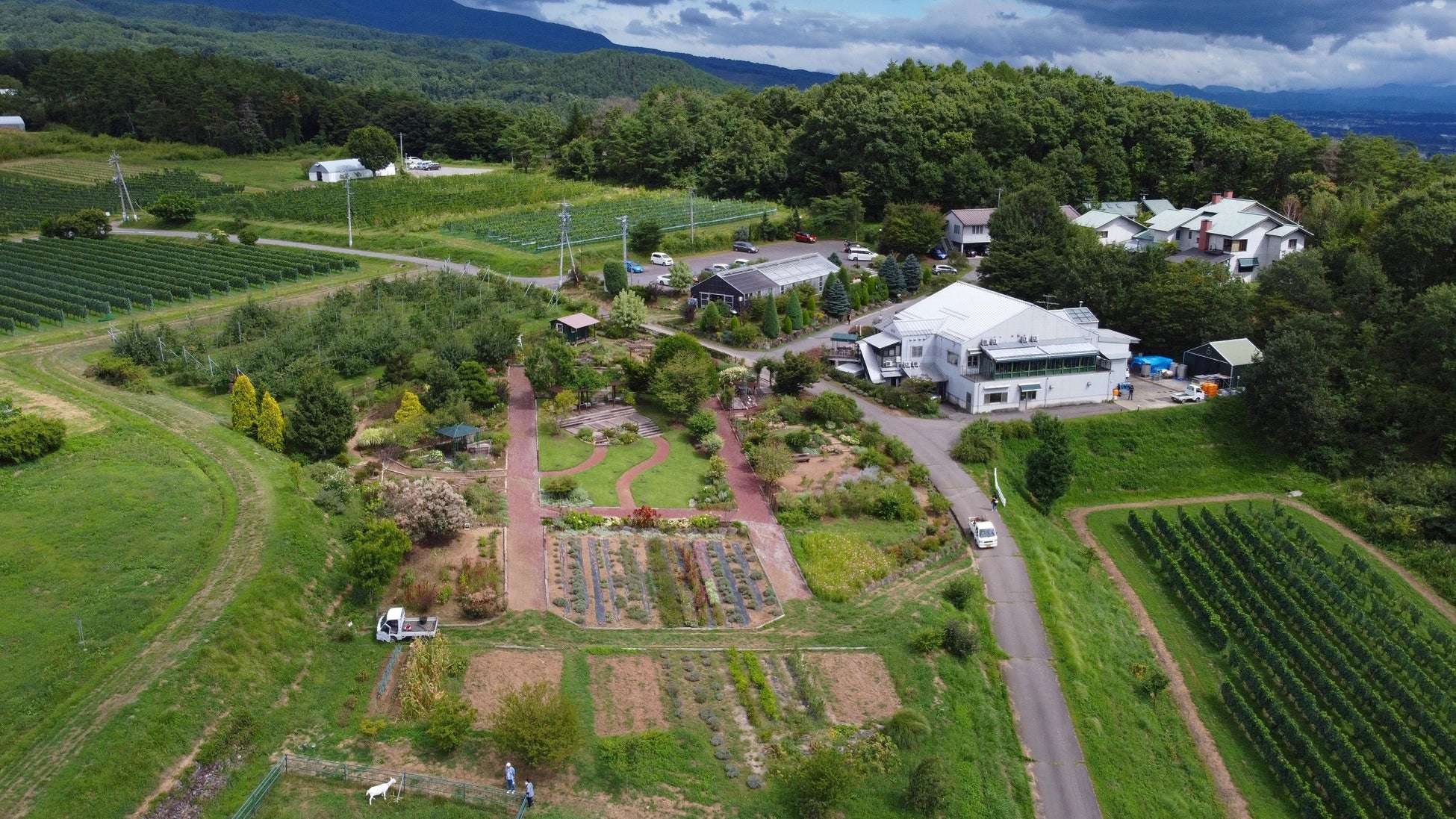 長野県東御市「ヴィラデストワイナリー」。約12haの敷地に手入れの行き届いたブドウ畑が広がる