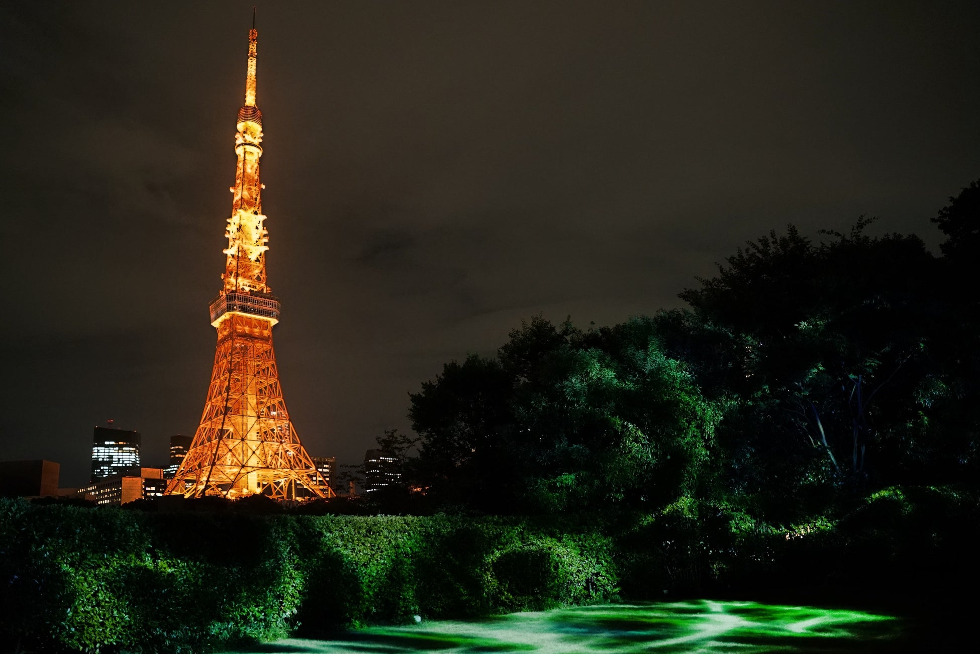 東京タワーを望める庭園で絶景バー「The TOWER BAR」イメージ
