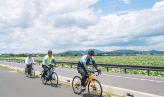 土浦市内のれんこん畑（7月に撮影）