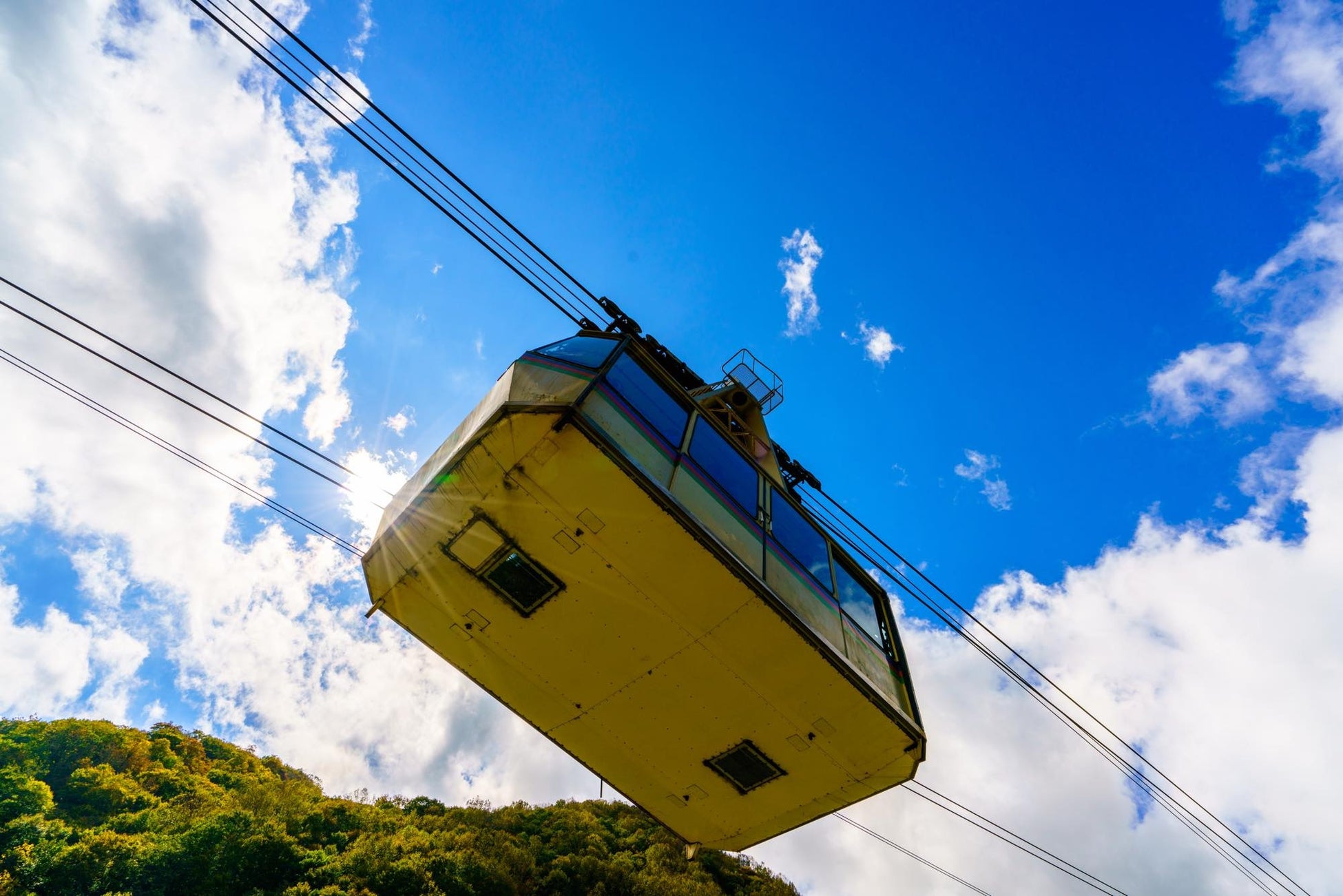 シースルー小窓で車内からもスリルを体感