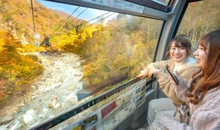 「清津川」をゴンドラ内から眺める様子