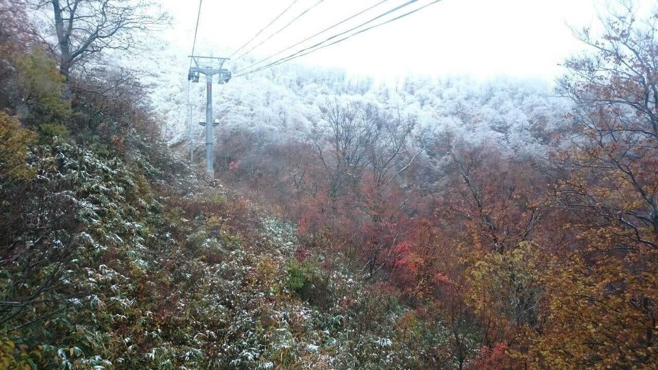 紅葉と初雪のコラボ