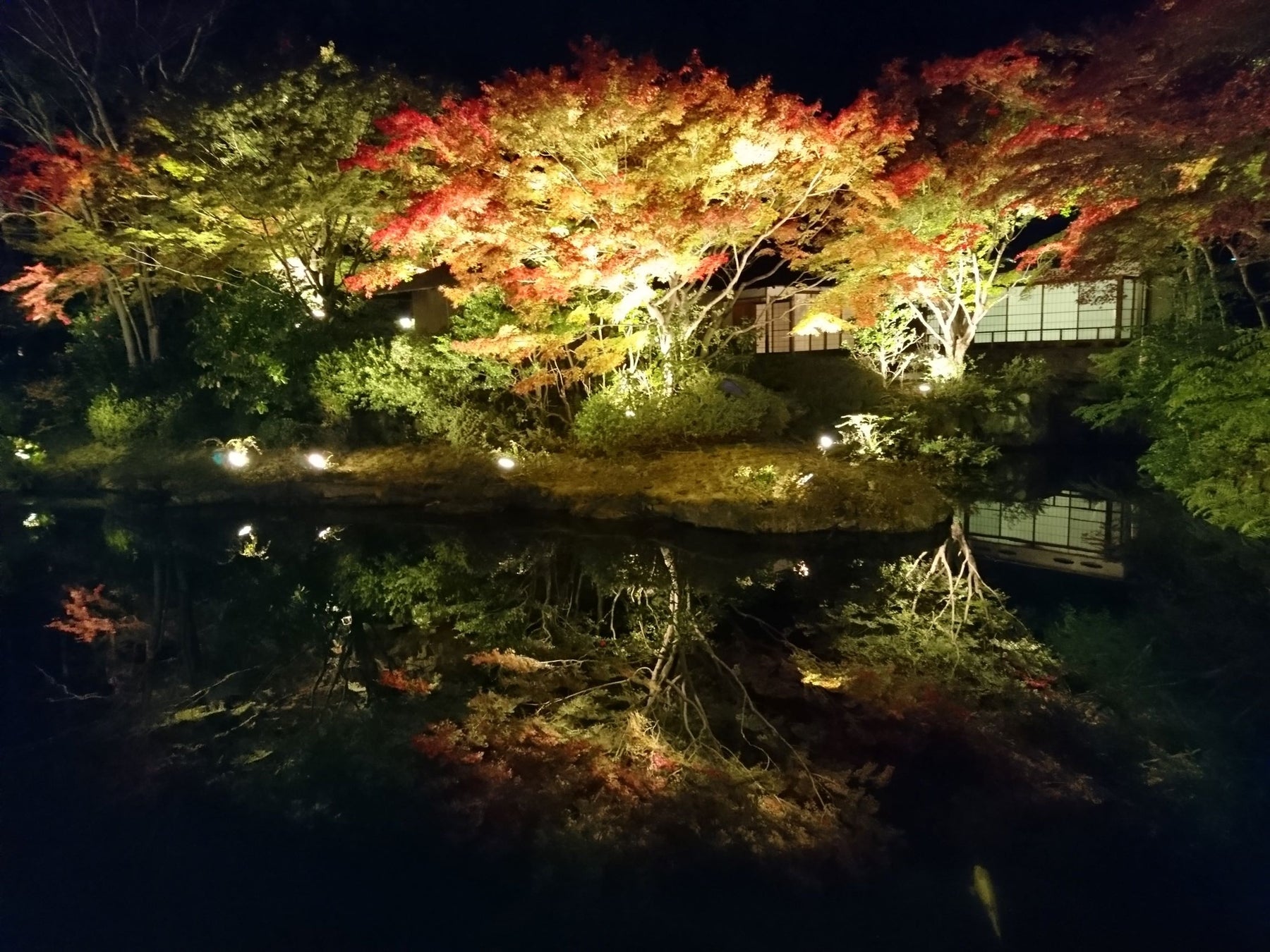 日本庭園に建つ茶寮のライトアップ風景。池に映る紅葉も美しい