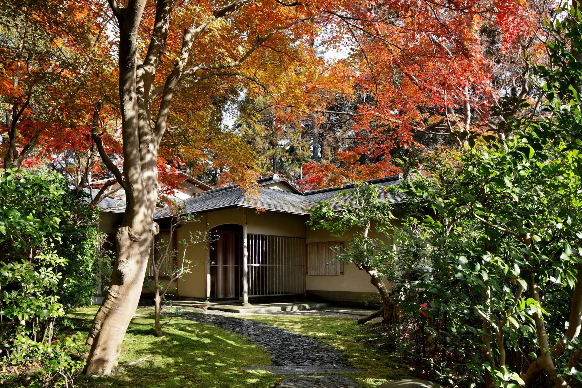 数寄屋造りの茶寮。秋は庭先で紅葉がお出迎え