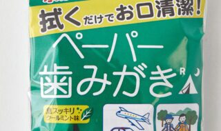 ペーパー歯みがきＲ　10包入り