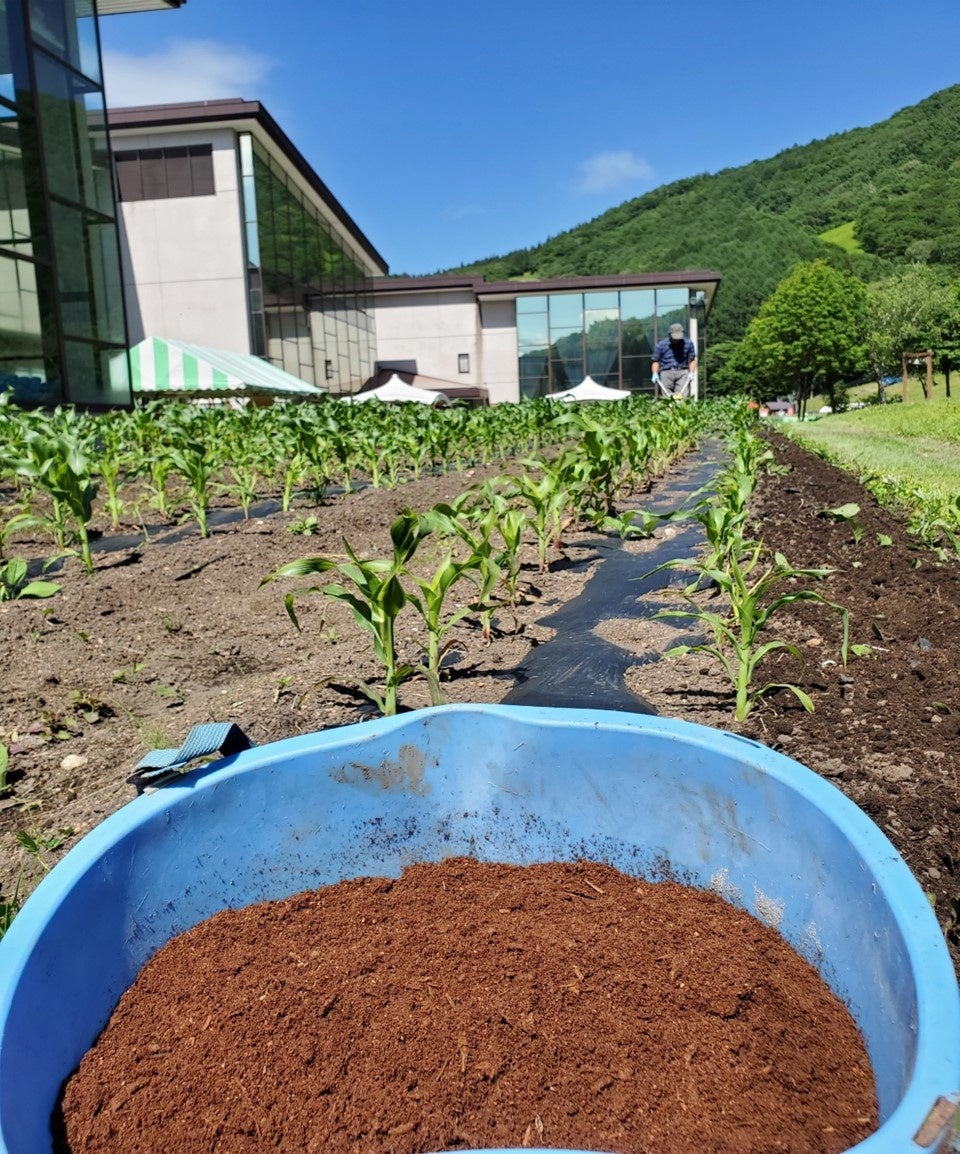 生ごみから作られた肥料