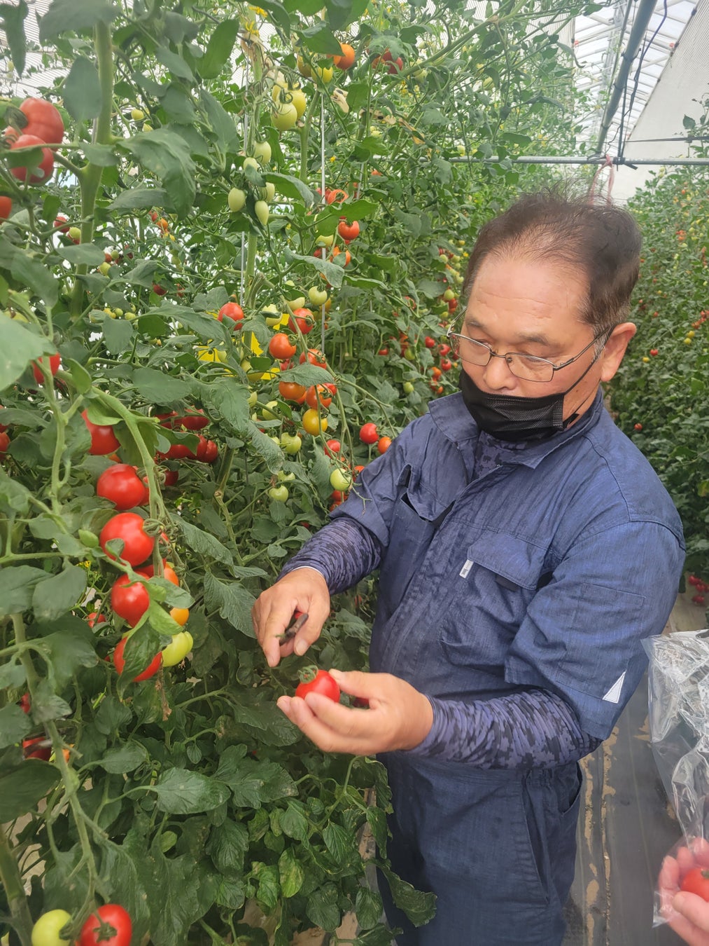 福井を代表する生産者、村林利行さん