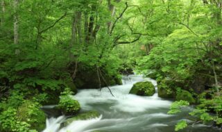 奥入瀬渓流　阿修羅の流れ