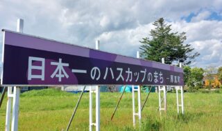 ハスカップ作付面積日本一を誇る北海道・厚真町