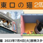 『新宿東口の猫』2周年新作動画