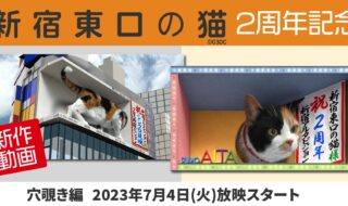 『新宿東口の猫』2周年新作動画