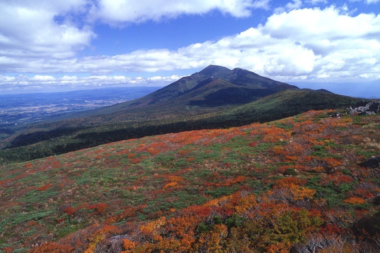 岩手県内でもいち早く紅葉が始まる三ツ石山から岩手山を望む