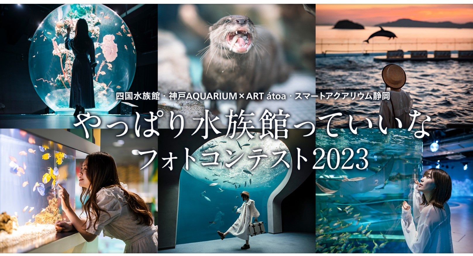 やっぱり水族館っていいなフォトコンテスト2023