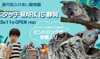 アニタッチMARK IS静岡