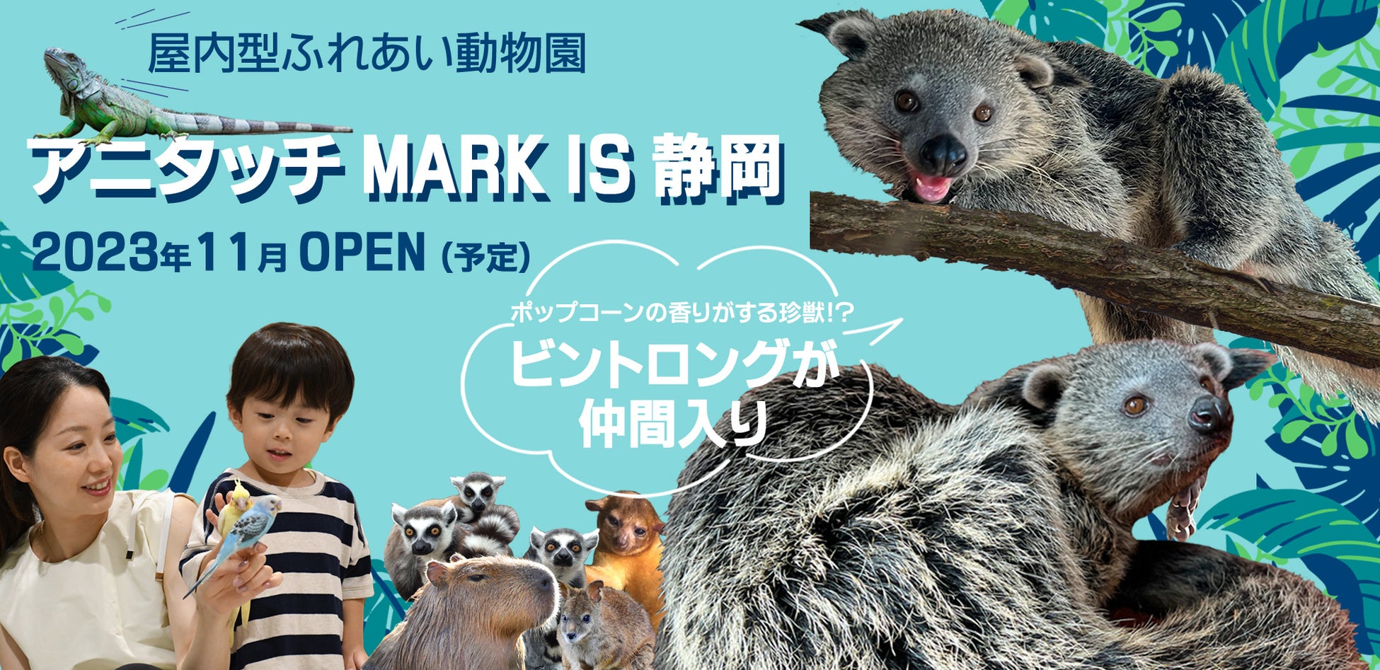 アニタッチMARK IS静岡